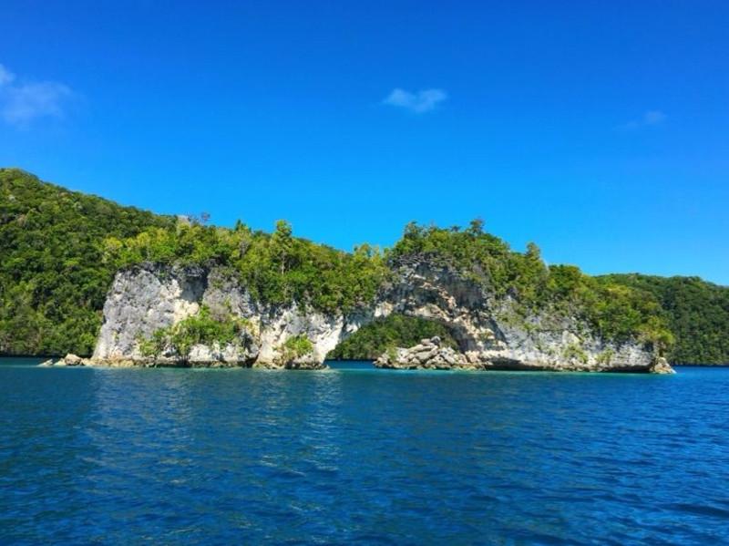 探索知识星球平台,尽享蒸馒头时干酵母粉咋用了?之旅